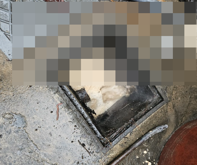 성당동 현장 사진 2
